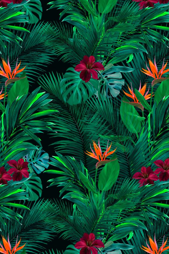 Tropical and Exotic Prints